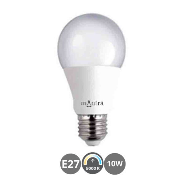 Bombilla LED E27 10W 5000K estándar