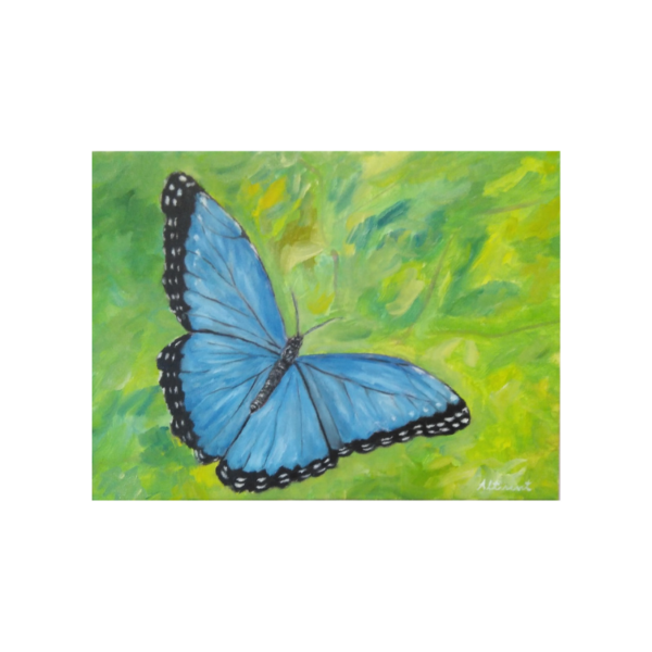 Cuadro MARIPOSA AZUL Carlos Altisent 30×40 cm