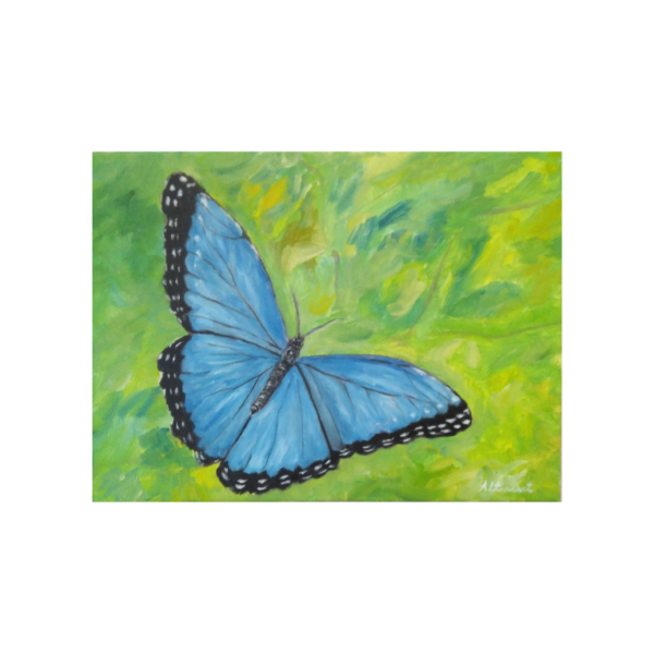 Cuadro MARIPOSA de color azul Carlos Altisent 30×40 cm